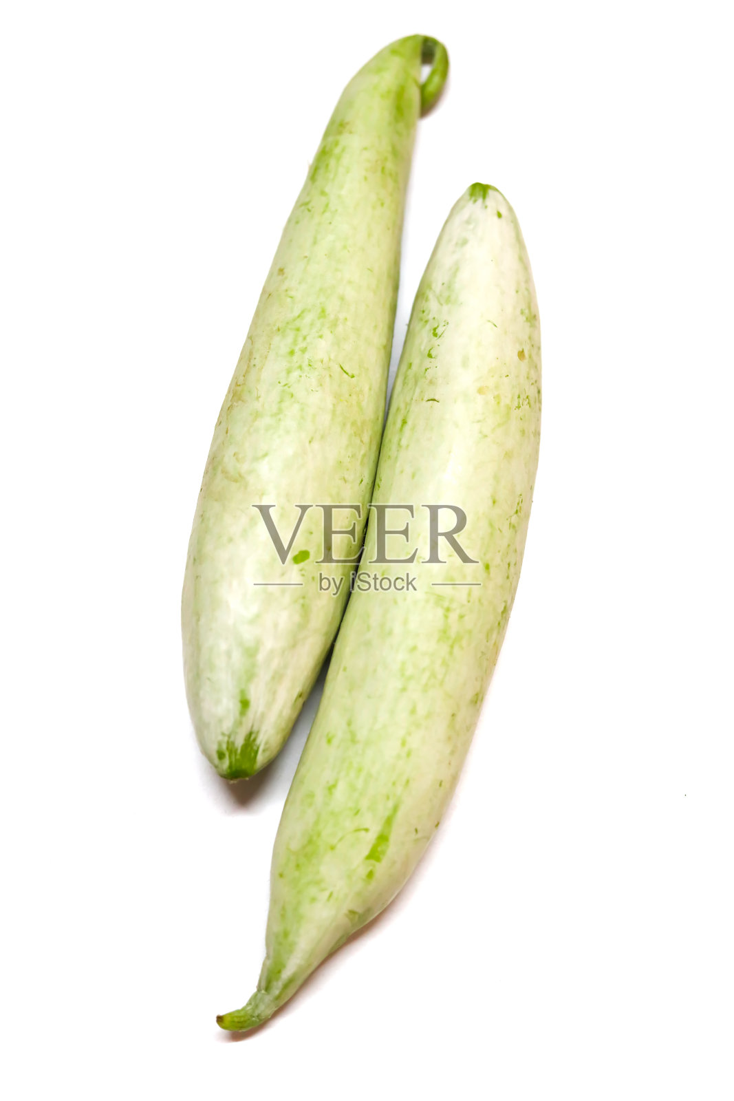 两个蛇葫芦白色背景,俯视图照片摄影图片