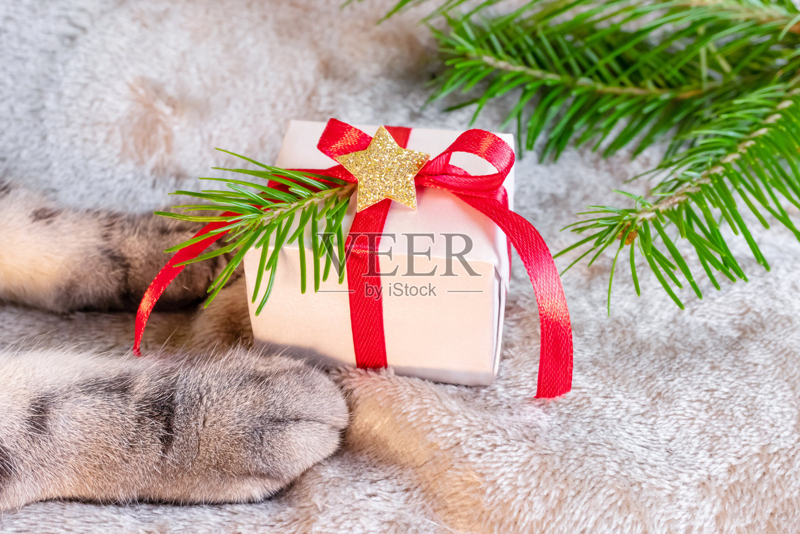 新年,圣诞节照片摄影图片