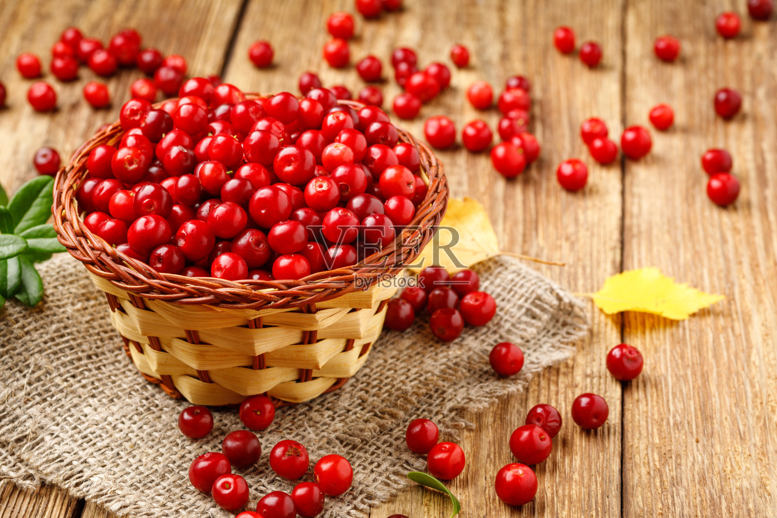 篮子与森林浆果-越橘照片摄影图片