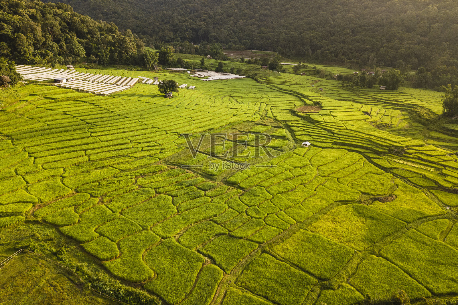泰国清迈Mae-Jam村小房子和梯田的鸟瞰图照片摄影图片