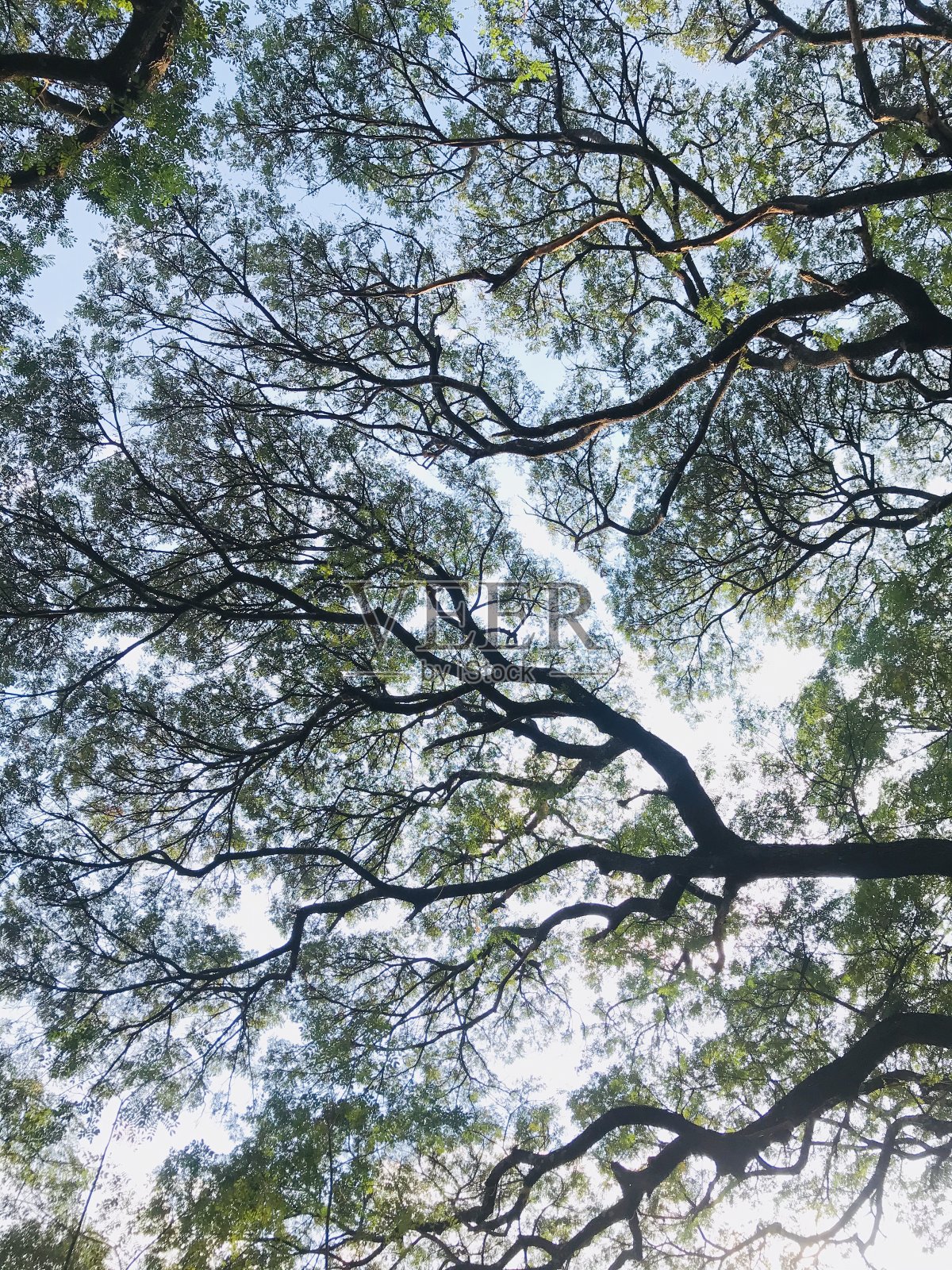 村民的性质、生活方式和日常生活。照片摄影图片