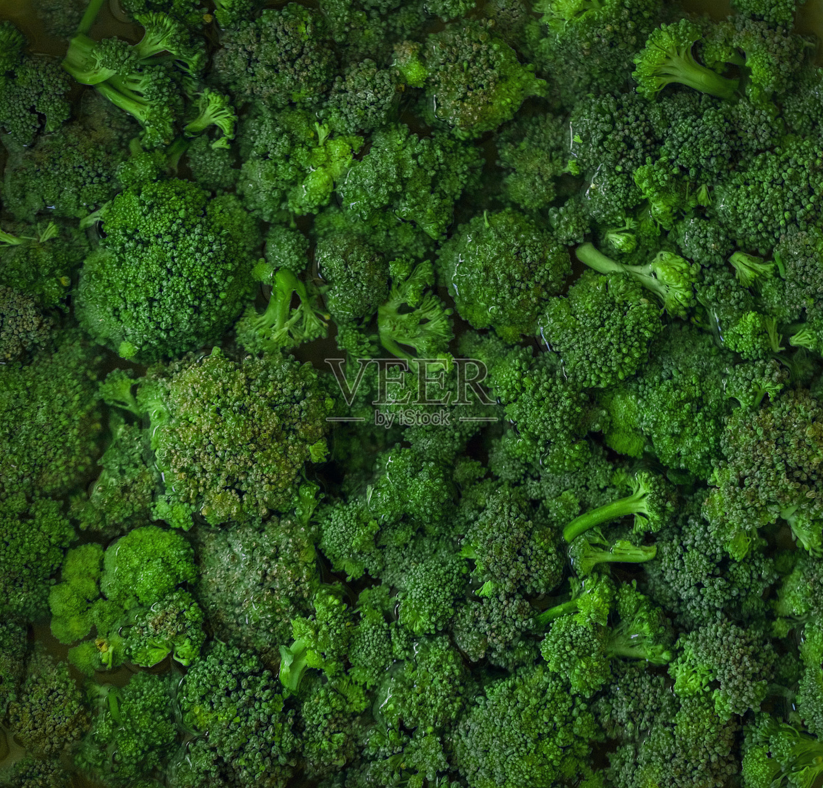 花椰菜卷心菜在水的花序。绿色蔬菜。背景纹理。俯视图,平放,复制空间。照片摄影图片