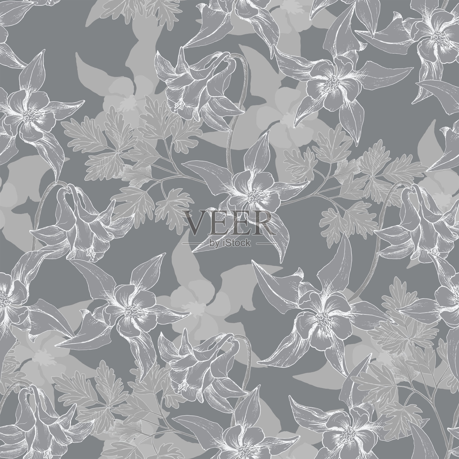 白色耧斗菜图案灰度插画图片素材