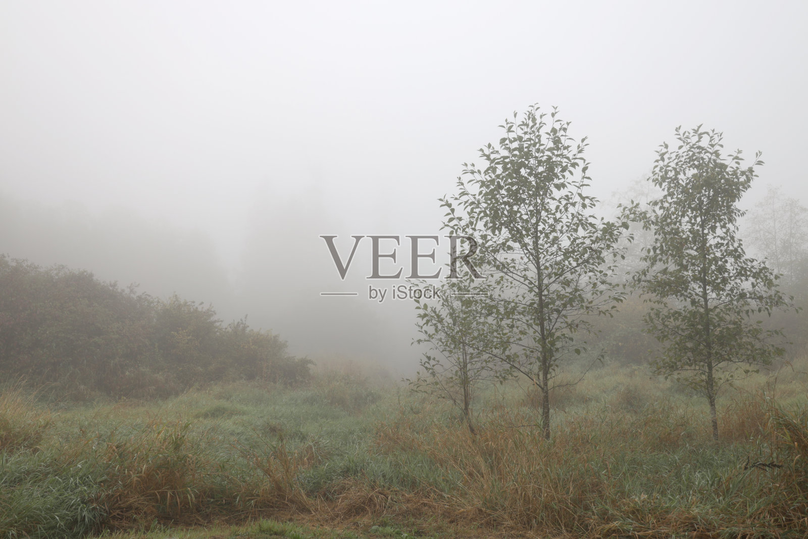 野火烟雾飘过加拿大湿地照片摄影图片