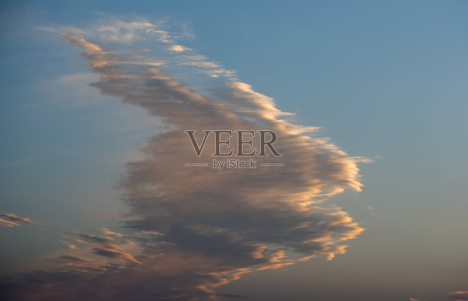 天空中有一朵动物形状的云。照片摄影图片