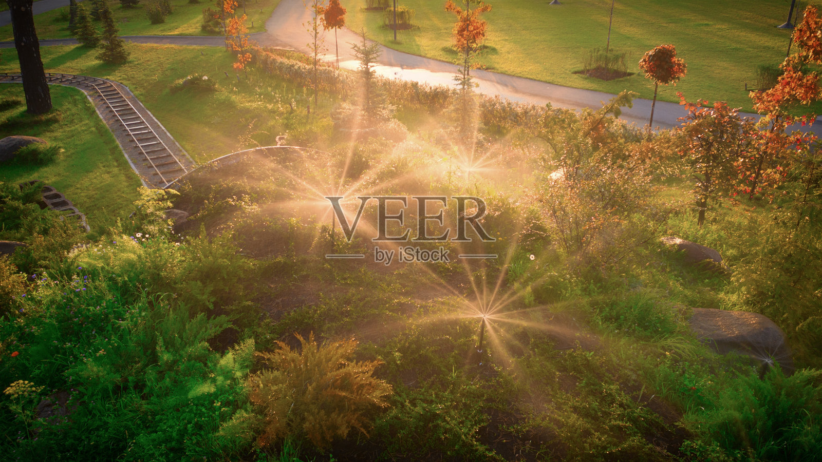 黎明时分在公园里自动浇水照片摄影图片