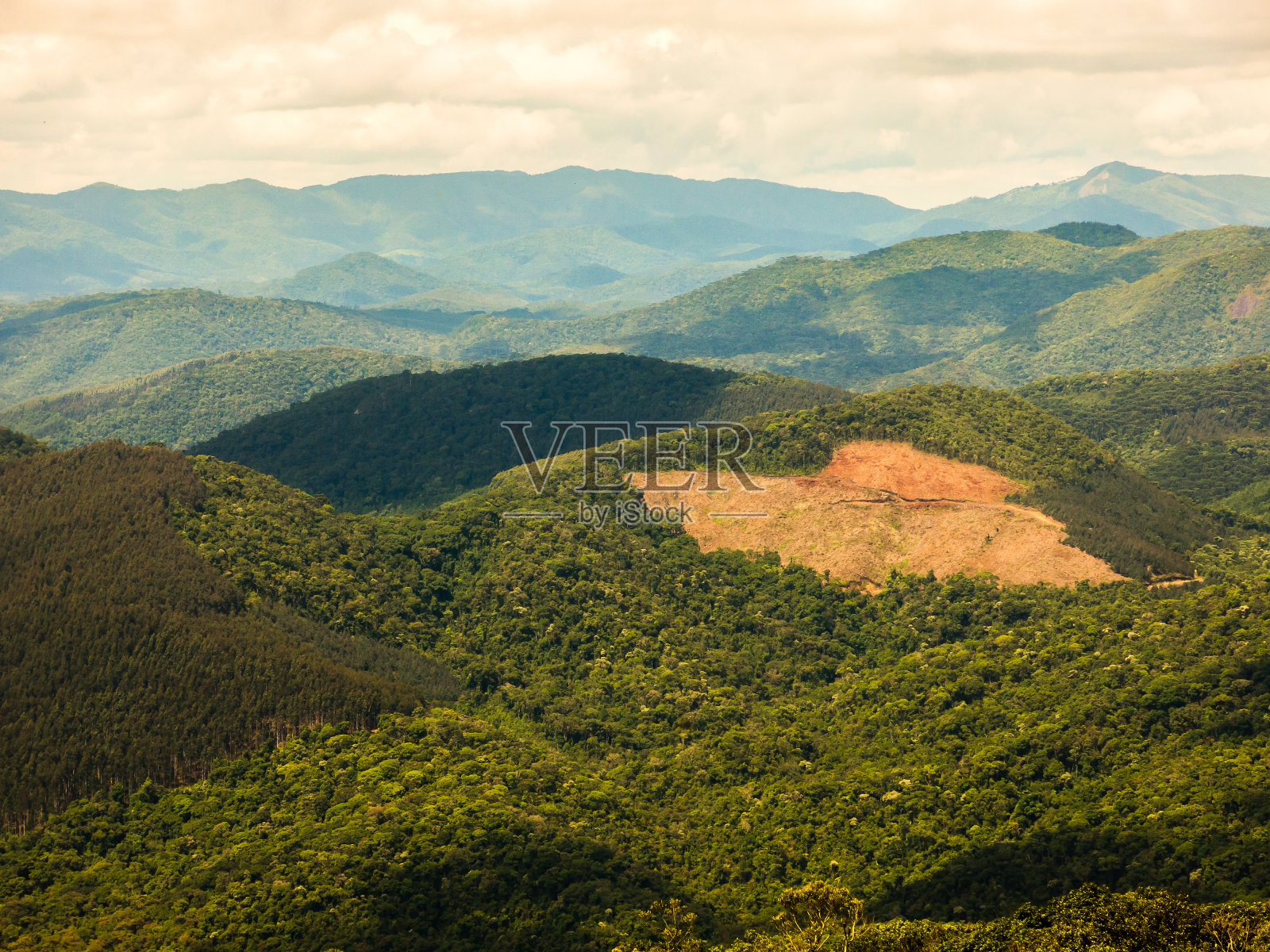 巴西山地森林桉树种植园鸟瞰照片摄影图片
