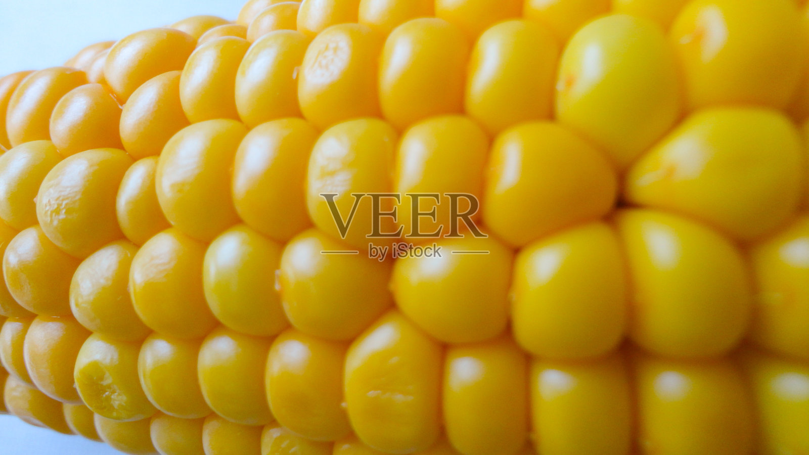 白底煮黄甜玉米芯照片摄影图片