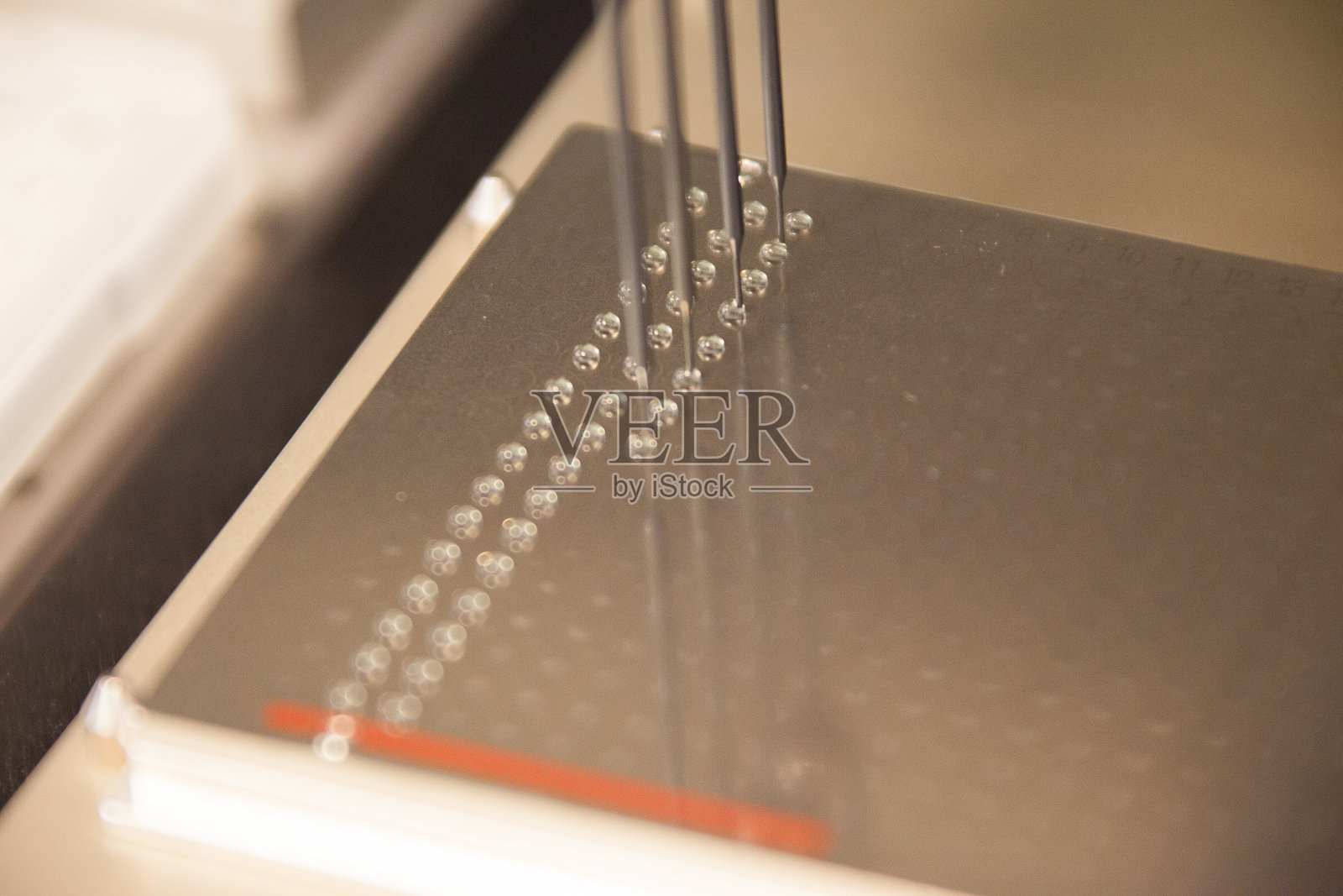 将实验室DNA样本装入平板进行PCR分析照片摄影图片