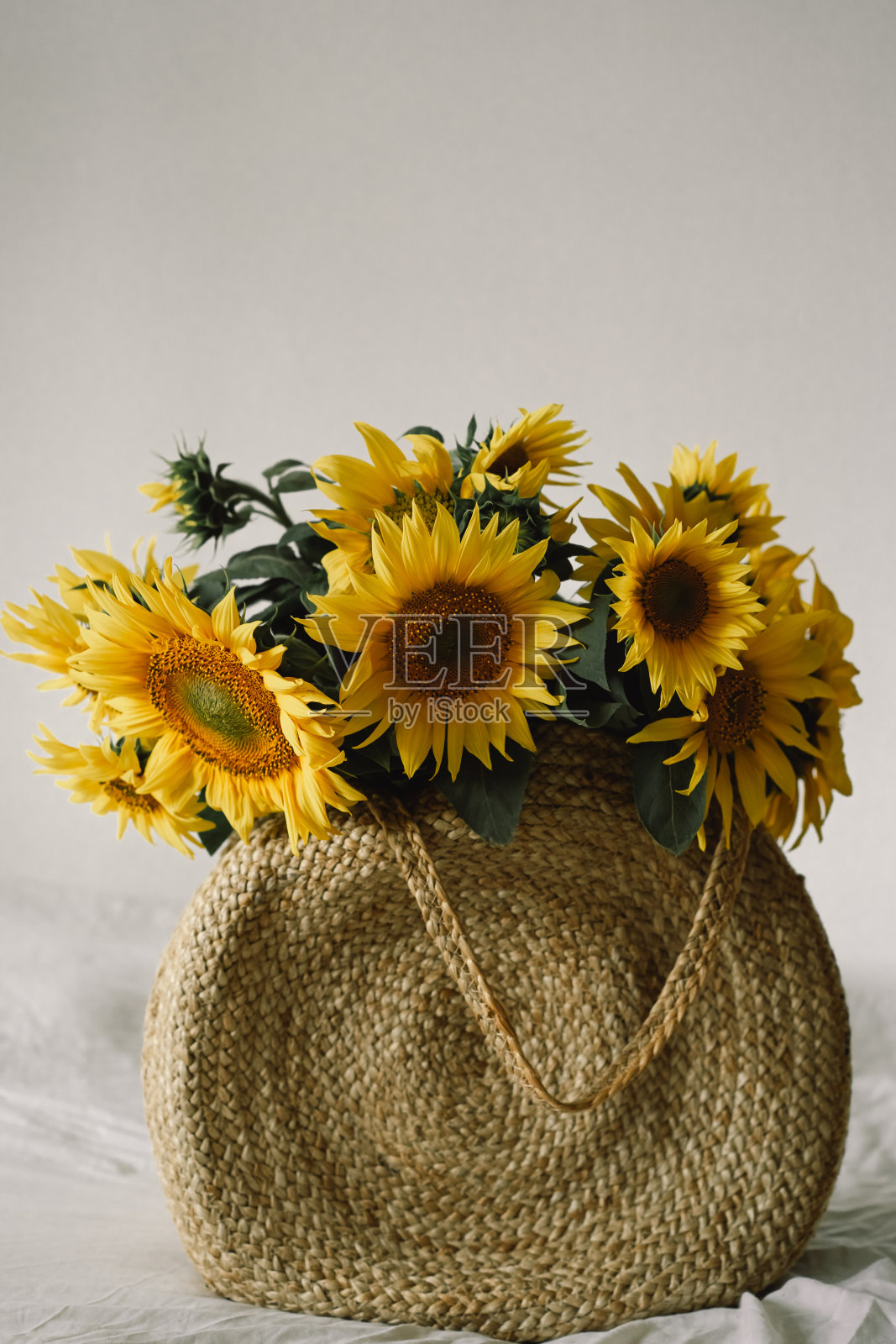 柳条袋里的一束大向日葵照片摄影图片