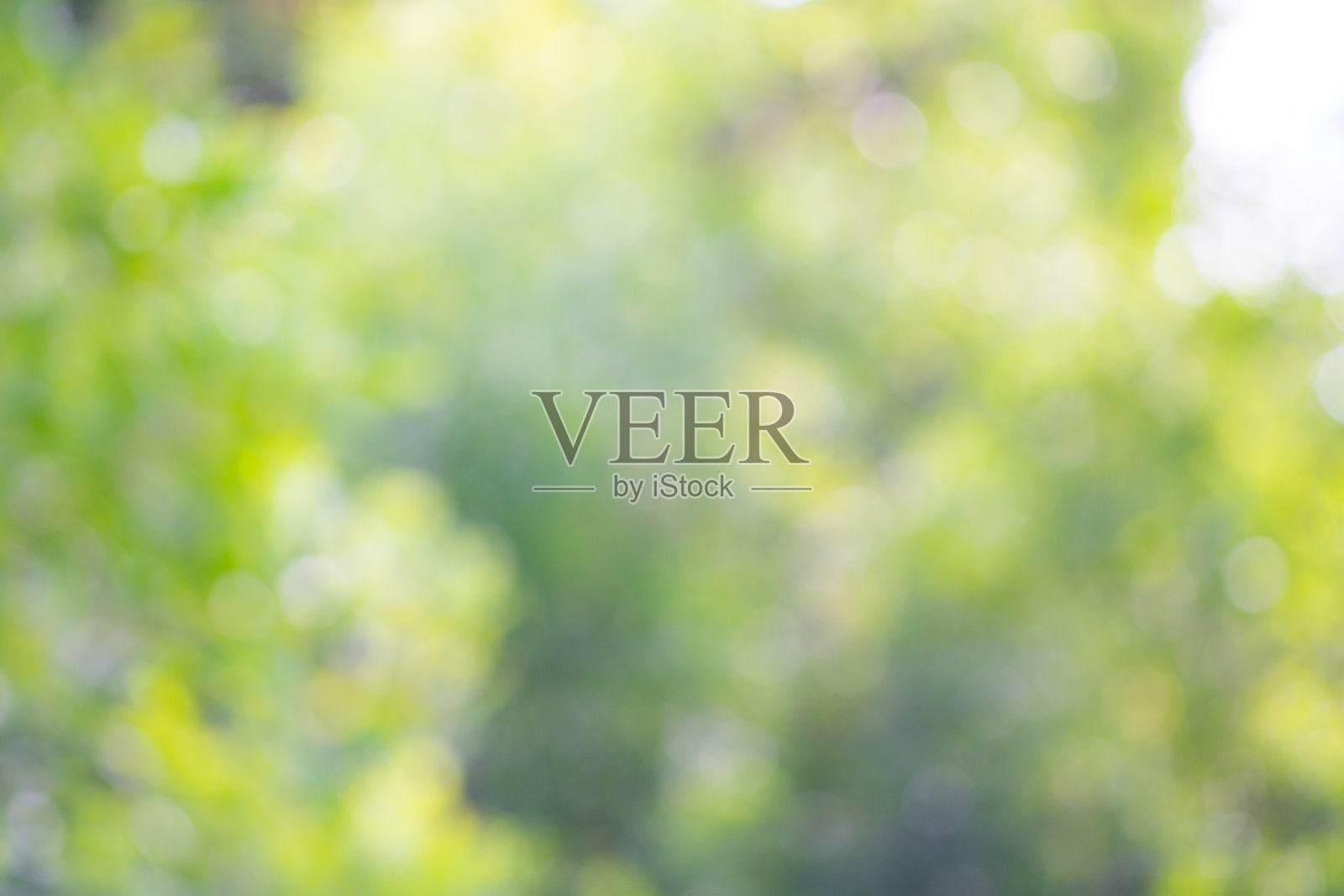 绿树散景背景照片摄影图片