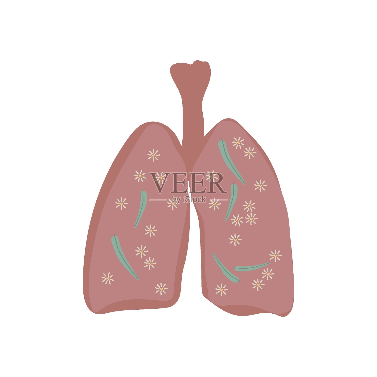 桉植物对人体呼吸系统有治疗和预防作用。人的肺是分离的。插画图片素材