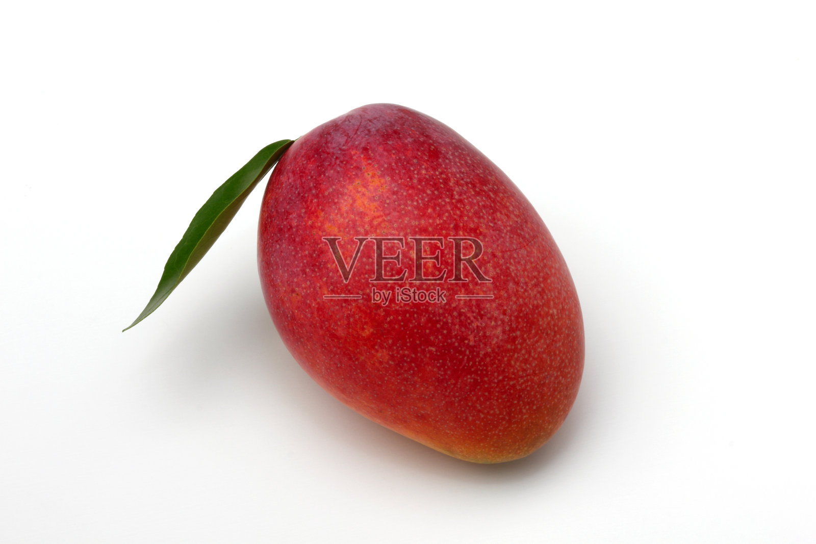 白色背景上的芒果照片摄影图片