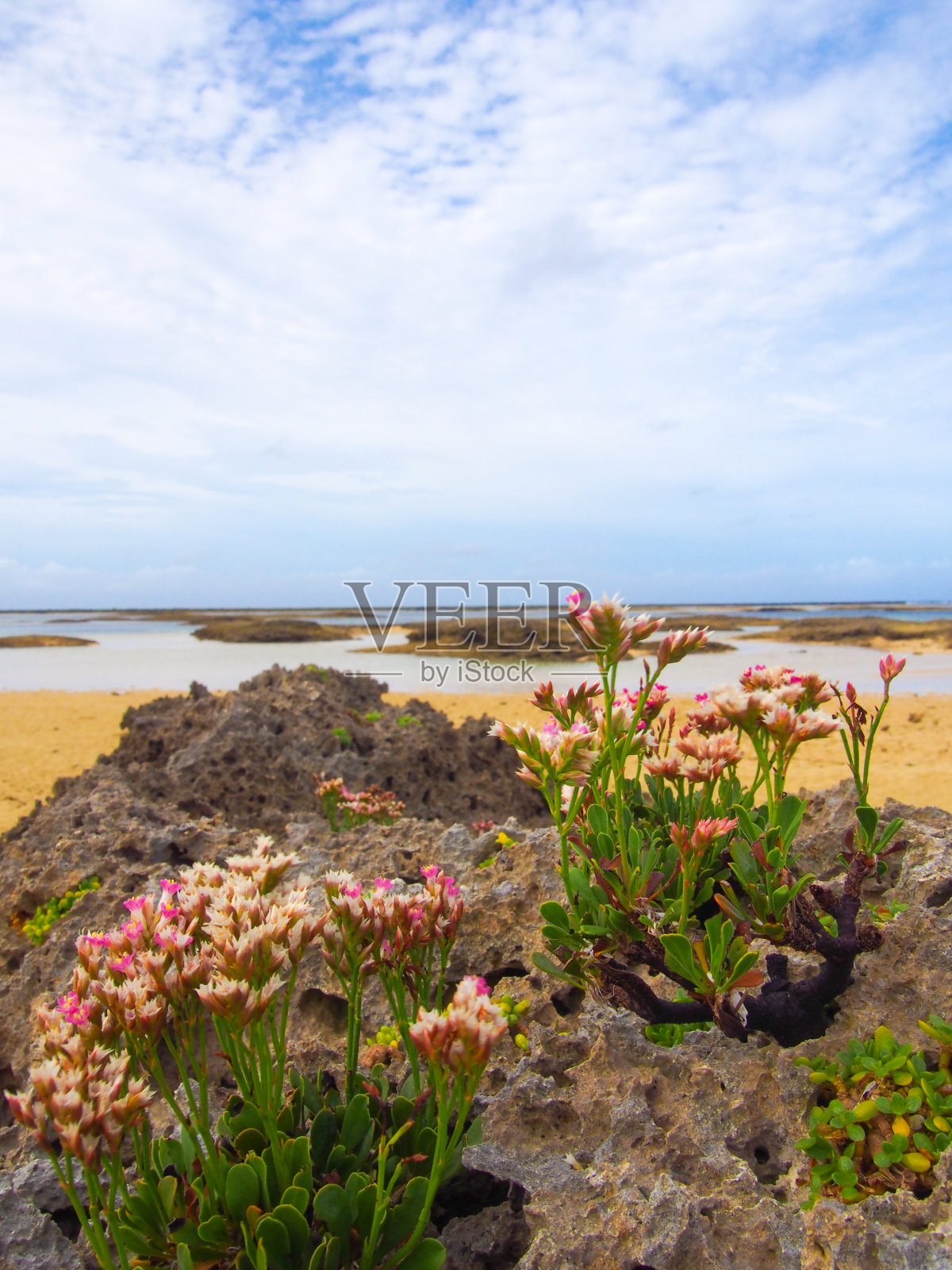 冲绳久米岛新里海滩照片摄影图片