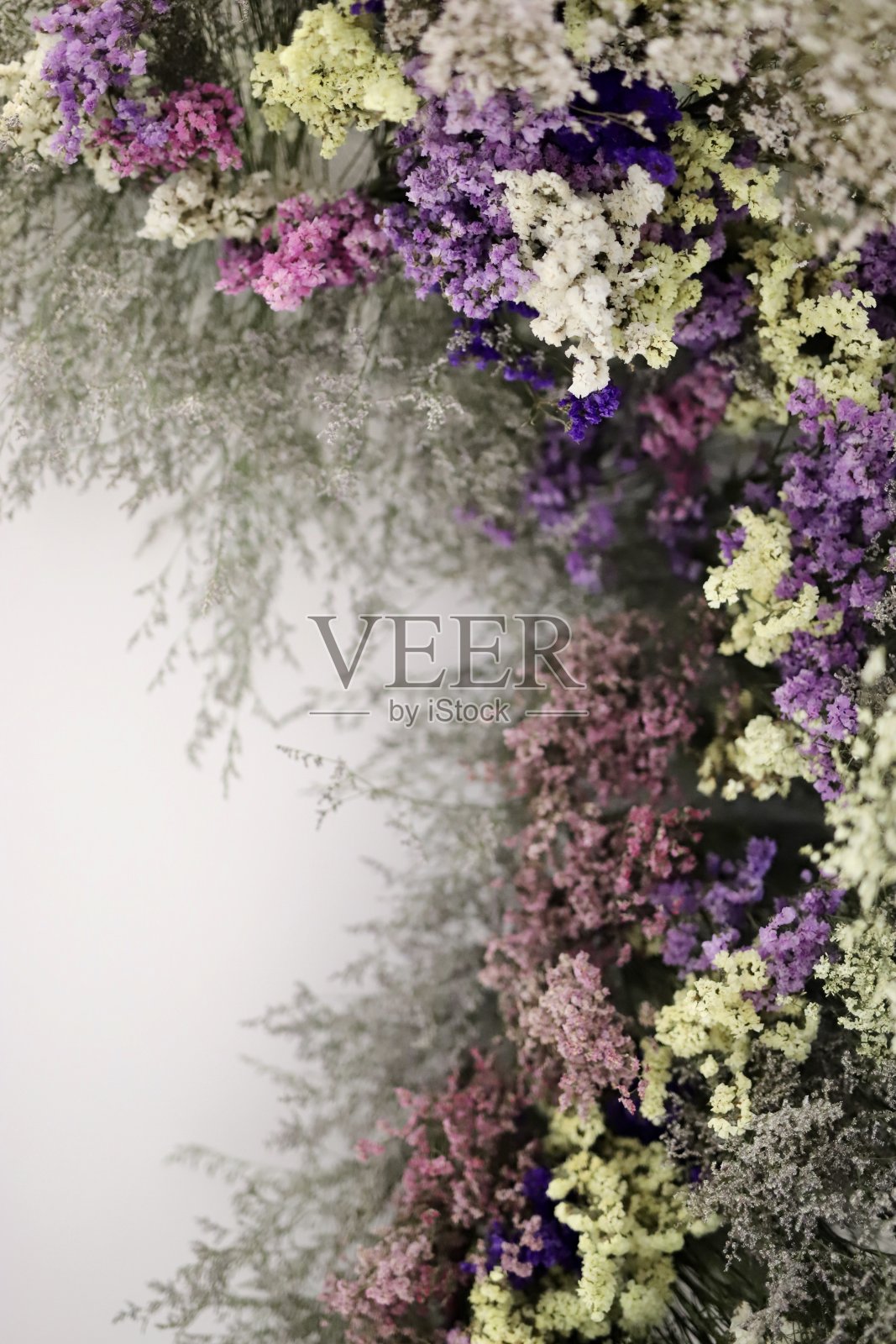 墙上有许多干花照片摄影图片