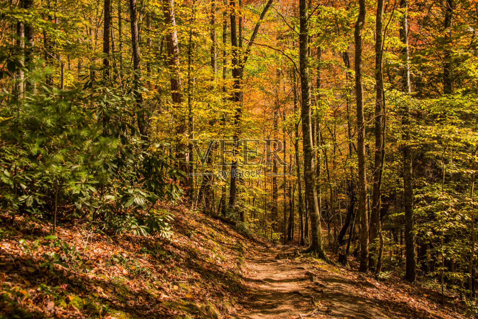 卡德斯湾附近的远足径照片摄影图片