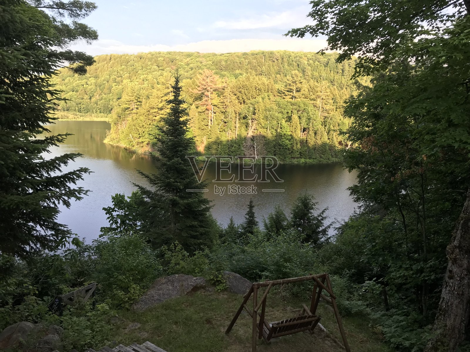 百万美元四季如春照片摄影图片