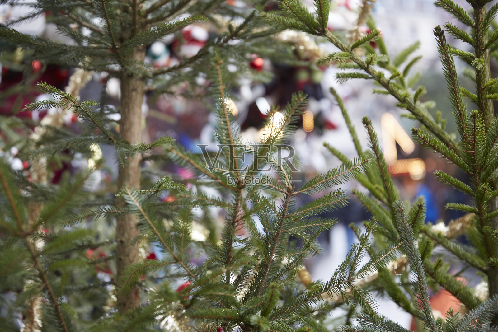 瑞士巴塞尔照片摄影图片