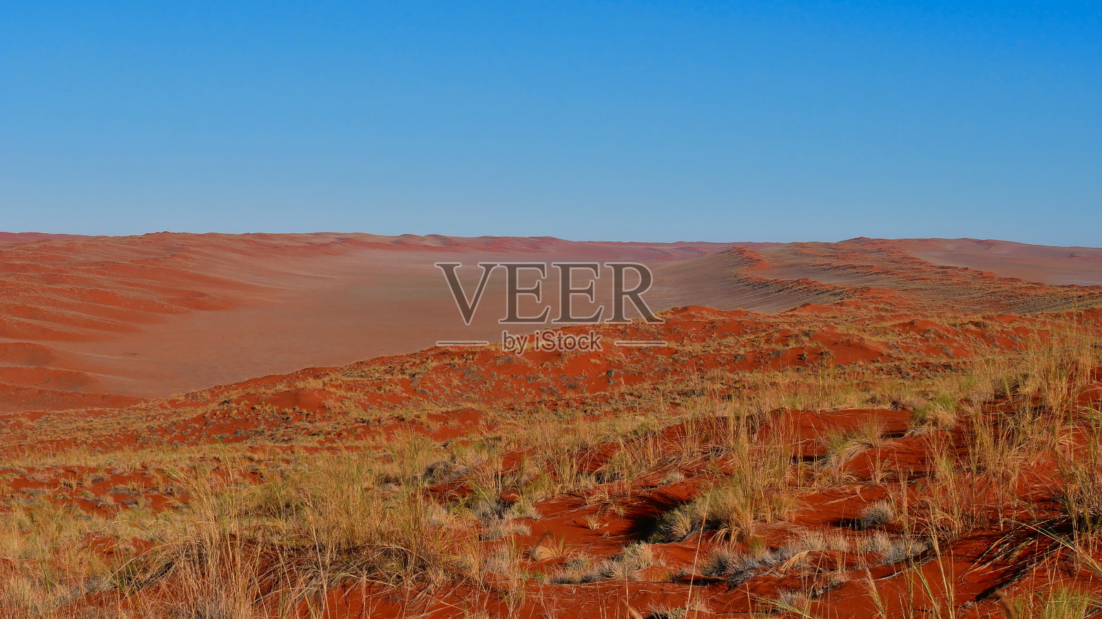 在一个山谷周围的大红色沙丘包围,纳米比亚沙漠,纳米比亚,非洲的全景。照片摄影图片