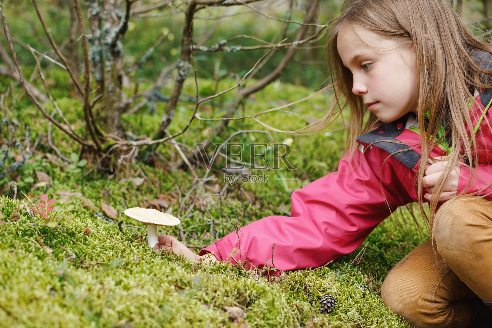 女孩在森林里发现了蘑菇,有孩子蘑菇中毒的危险的概念照片摄影图片
