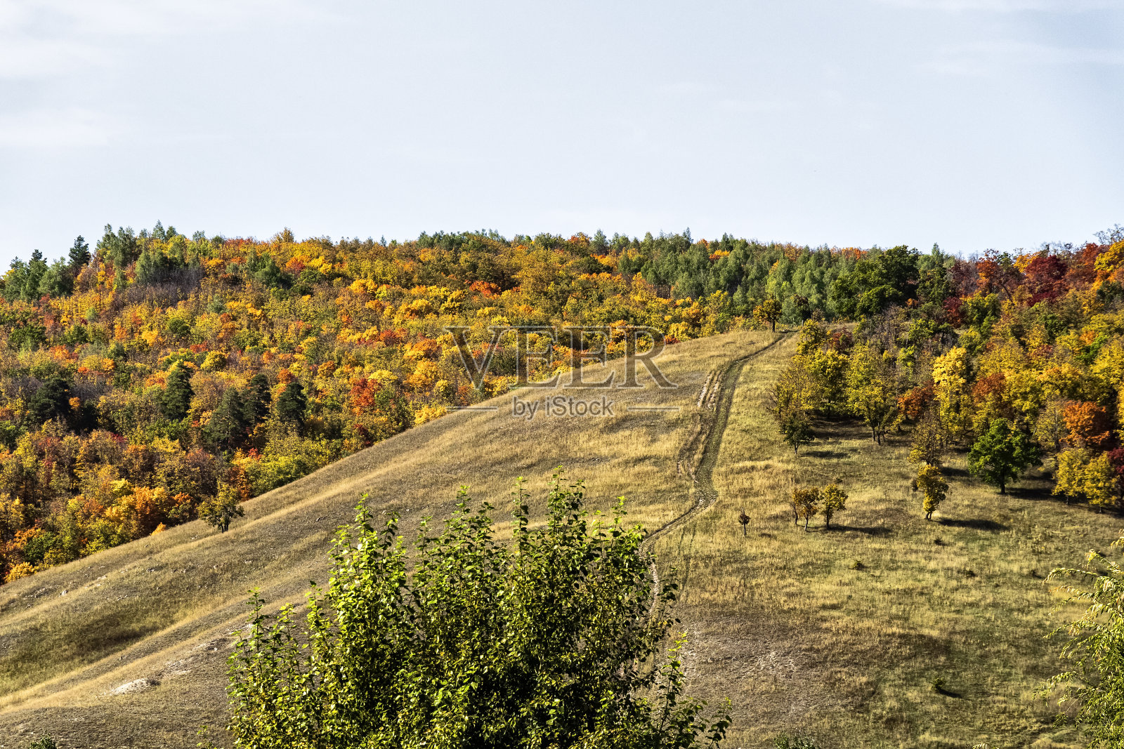 秋天的美丽风景照片摄影图片