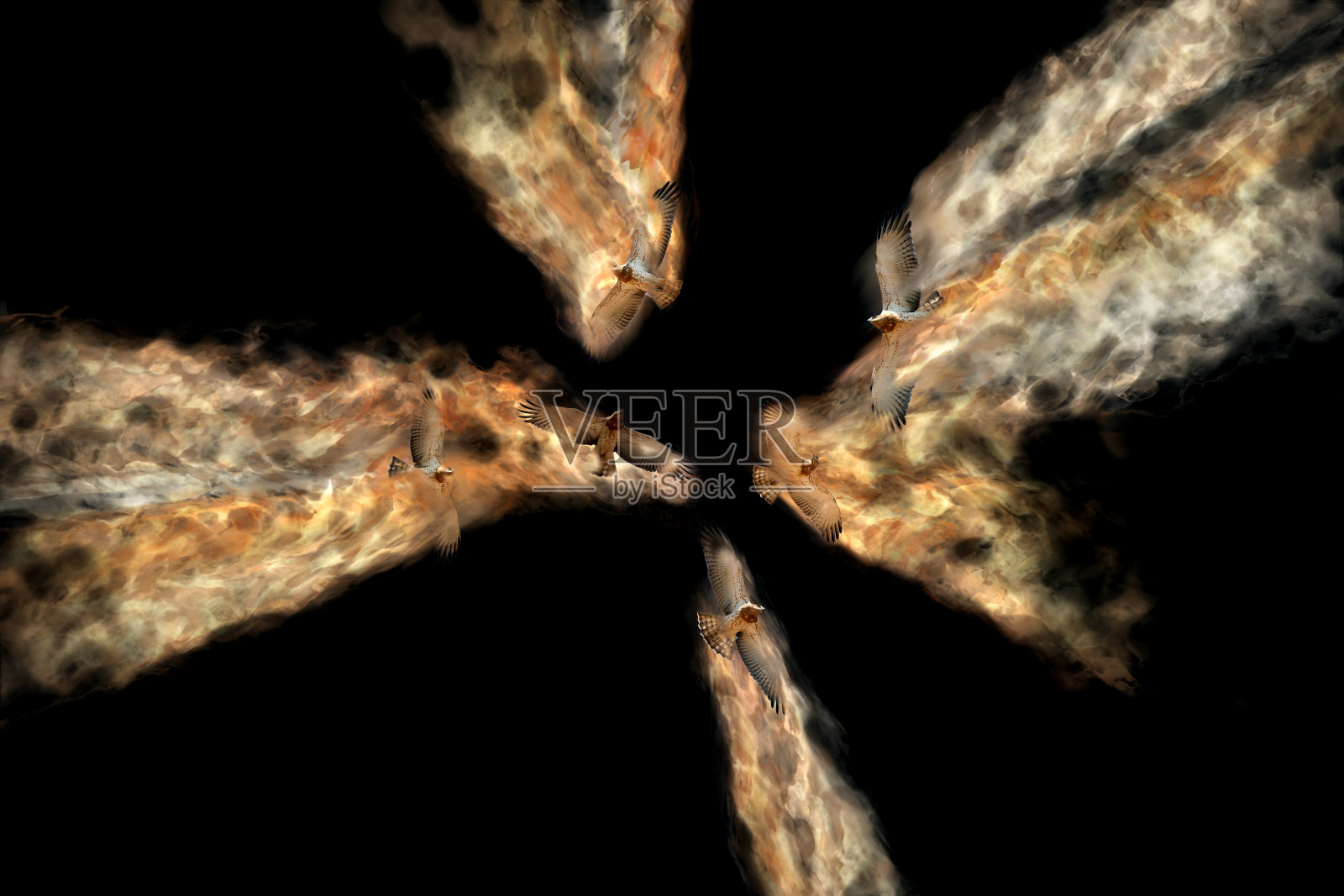 抽象的性质。鸟的猎物。色散效应。照片摄影图片