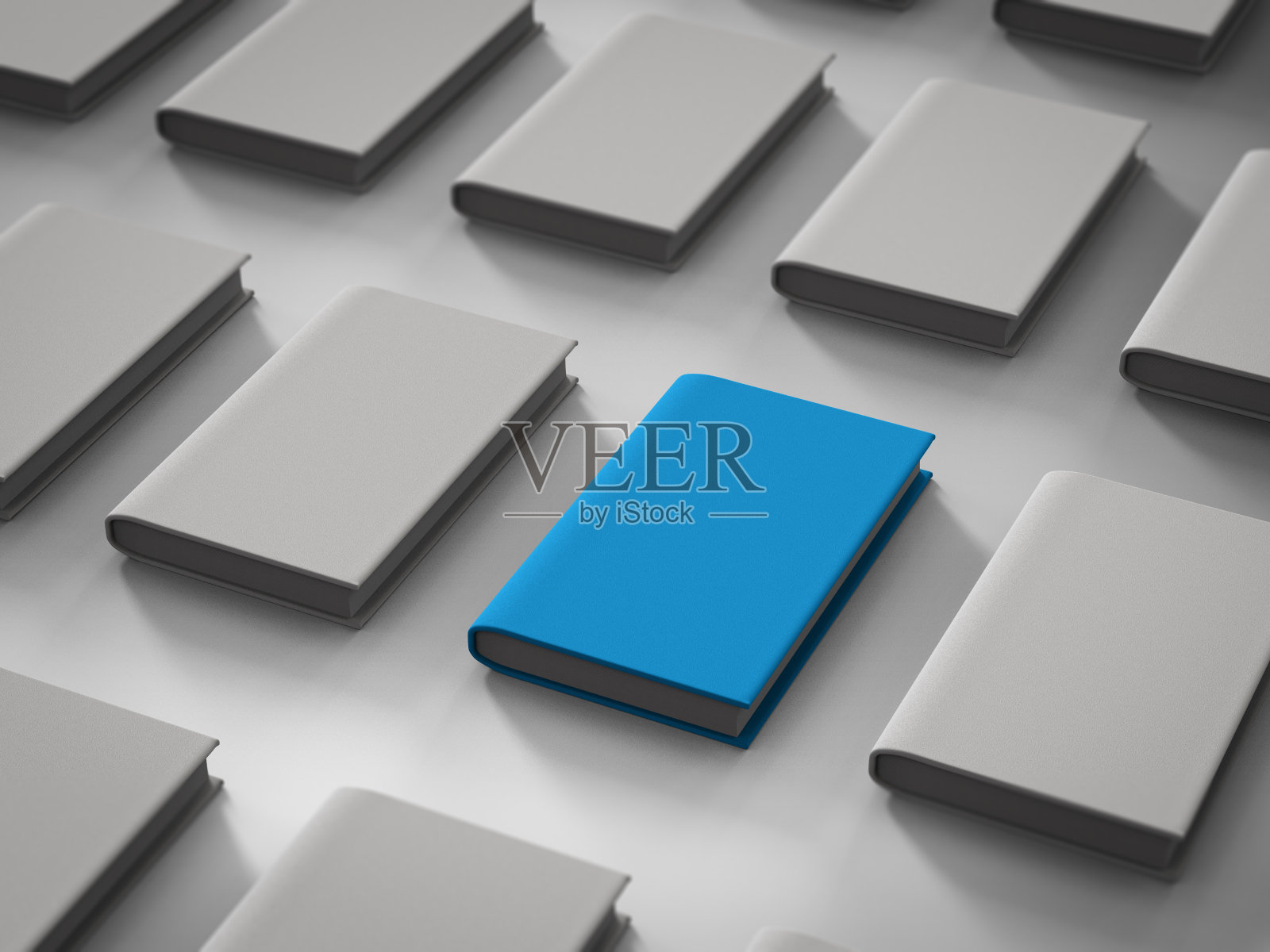 领导理念与蓝皮书照片摄影图片