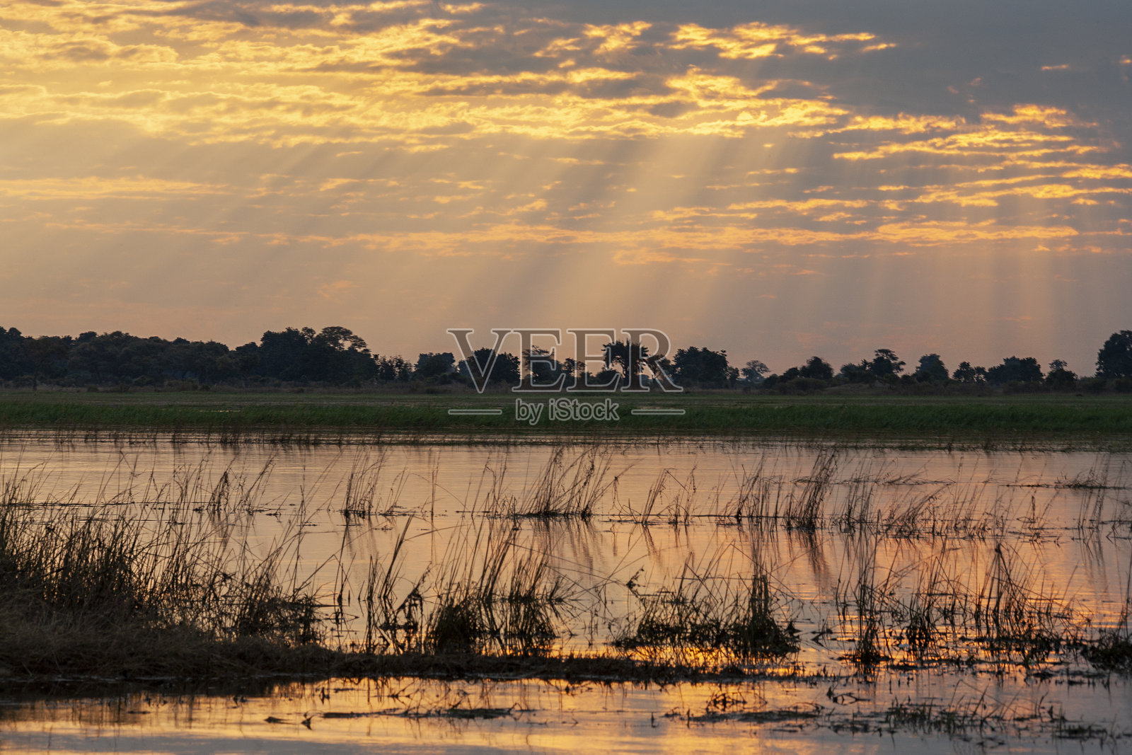 阳光照射在丘比河-博茨瓦纳照片摄影图片