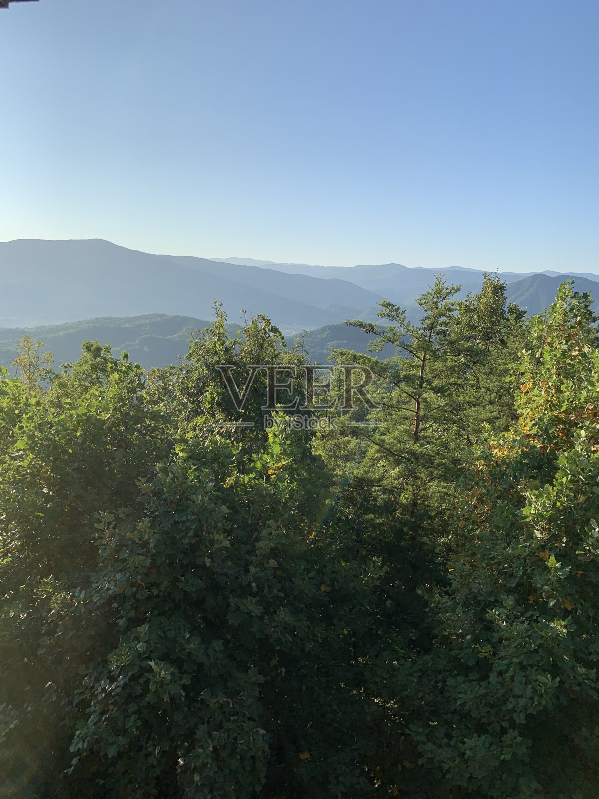 世界上有没有照片摄影图片