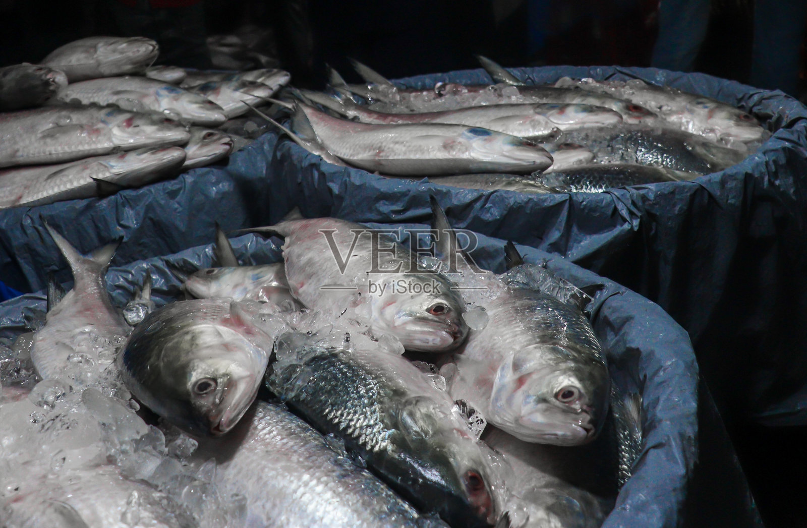 亚洲孟加拉国钱德普的鱼类批发市场照片摄影图片