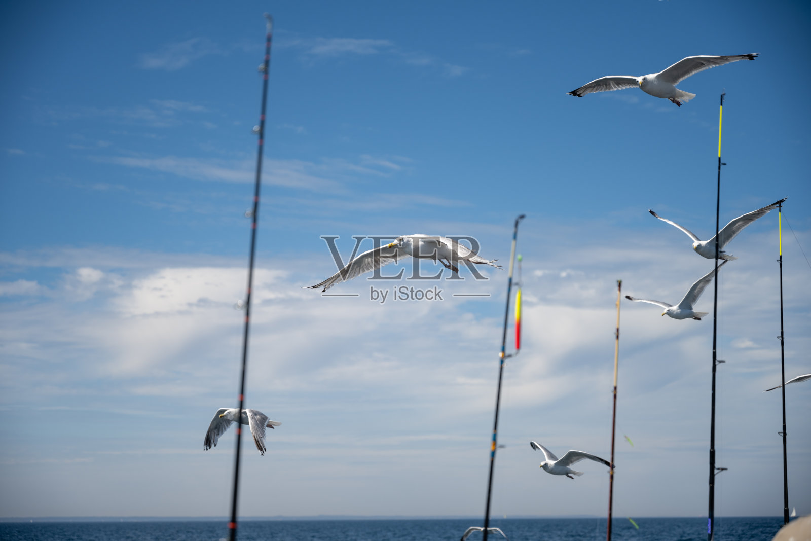 海鸥跟着渔船。背景是蓝天和薄薄的白云照片摄影图片