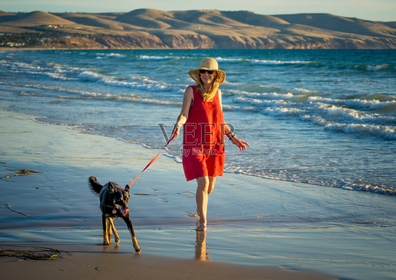 美丽成熟的退休妇女和宠物狗一起散步在空旷的偏远海滩。在户外锻炼希望和回到新的正常生活后冠状病毒封锁的概念。照片摄影图片