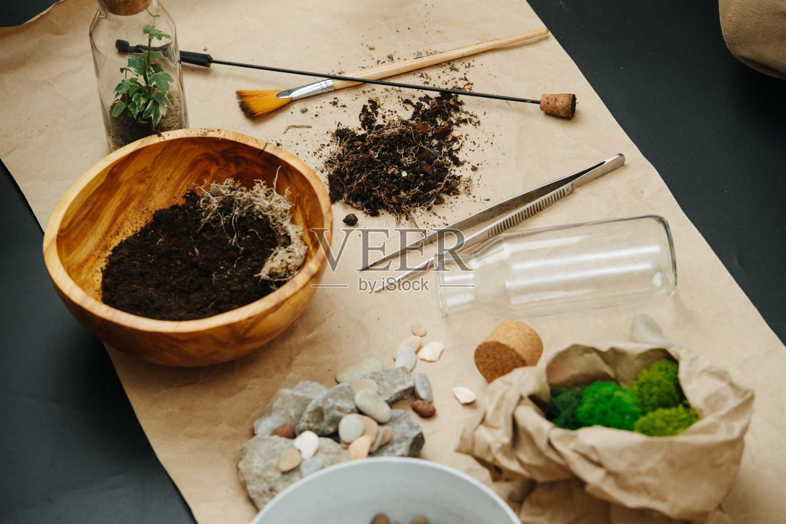 地板上垫有室内园艺主题物品。照片摄影图片