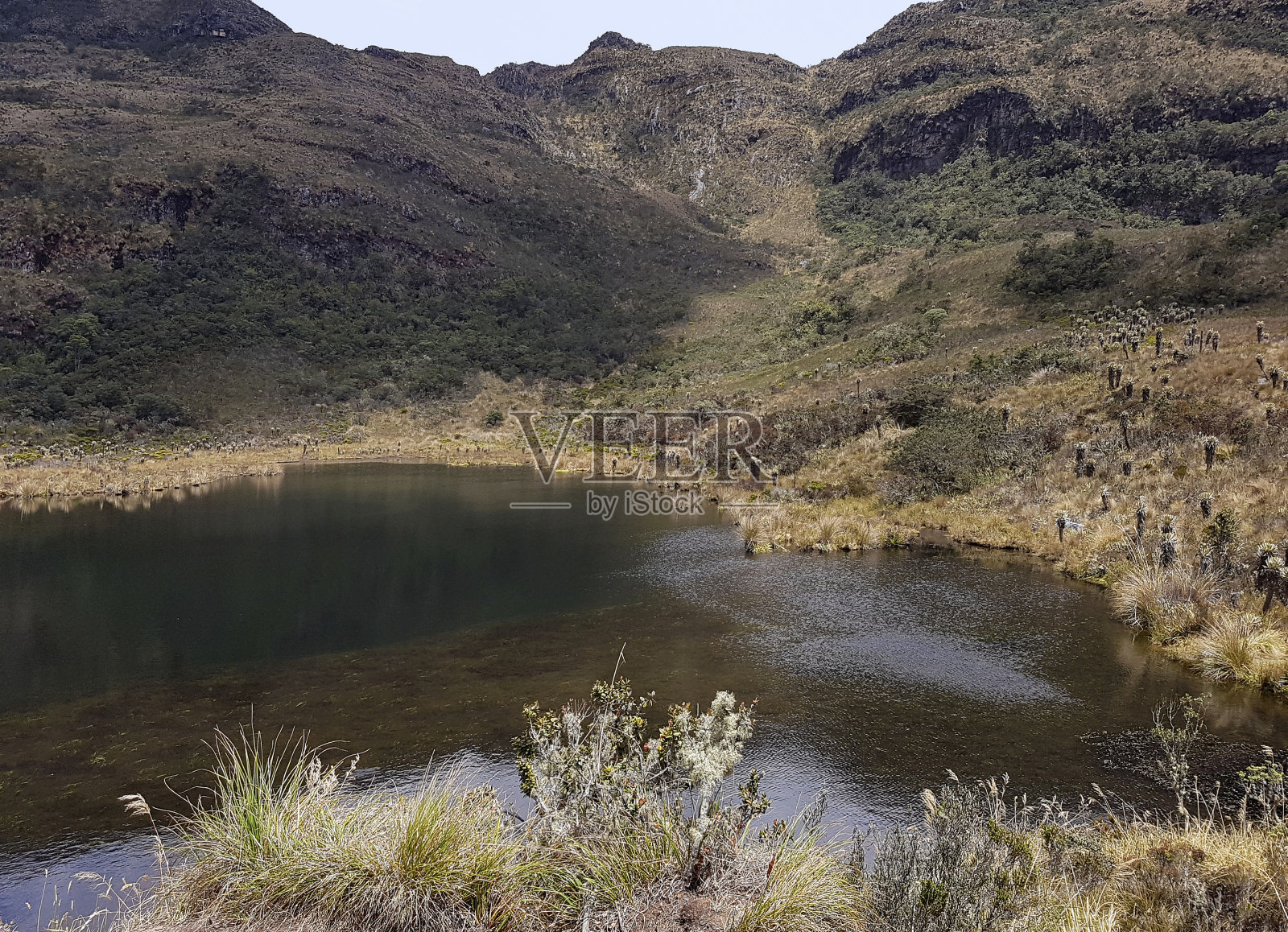 在哥伦比亚的伊瓜克湖附近照片摄影图片
