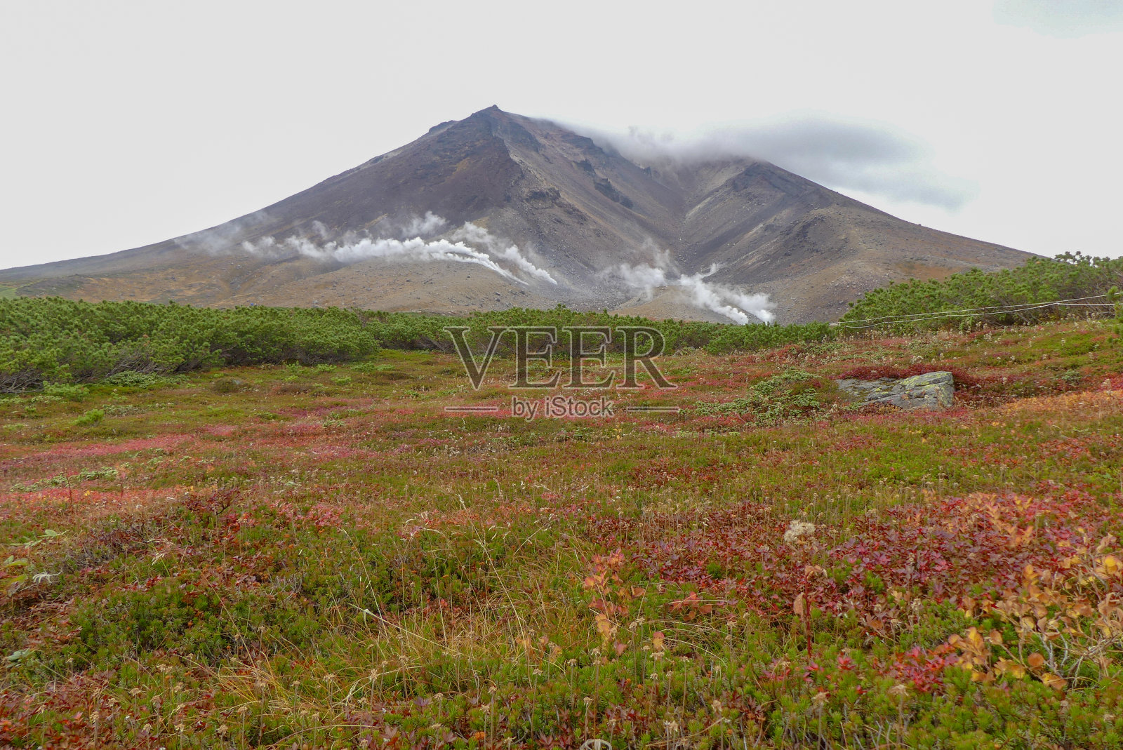 秋天的山边有鲜艳的叶子和蒸汽喷口照片摄影图片