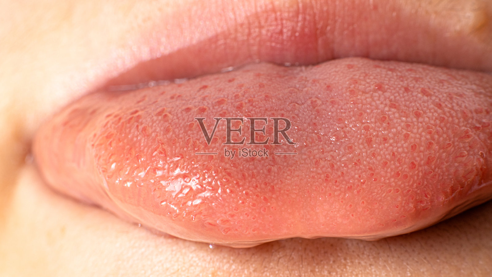 健康人类语言的微缩照片。舌尖和味蕾呈乳头状。关闭了。照片摄影图片