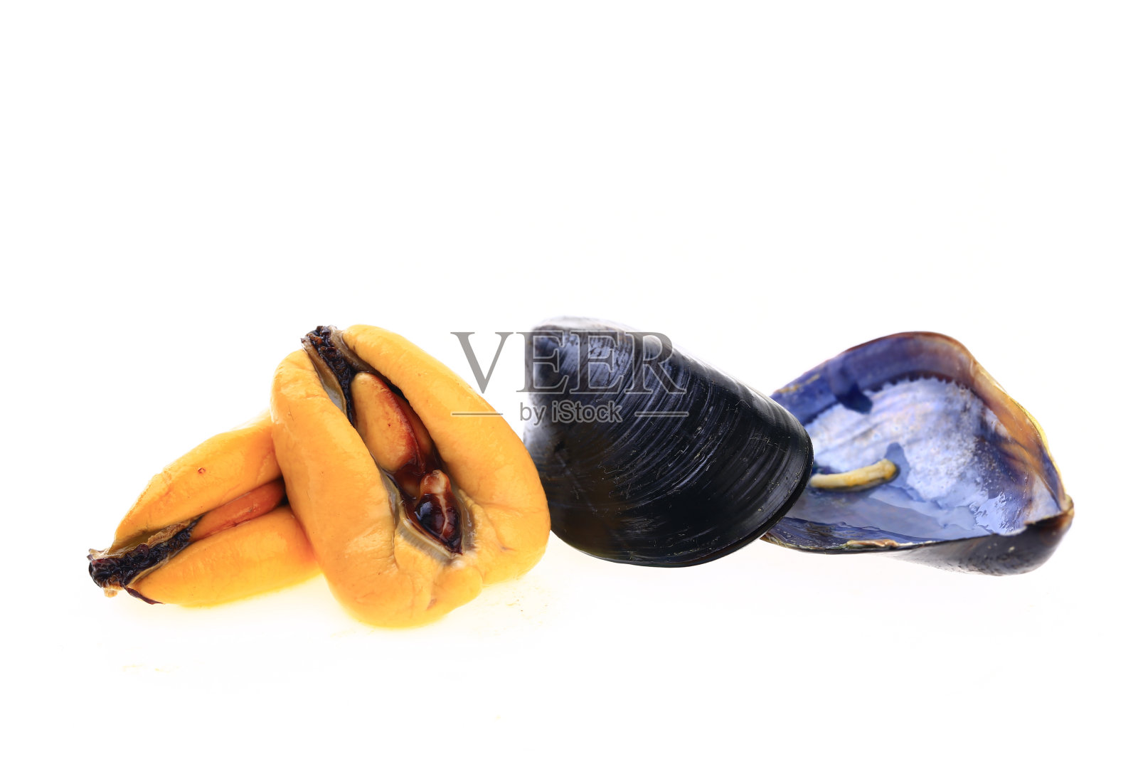 白色背景上的贻贝照片摄影图片