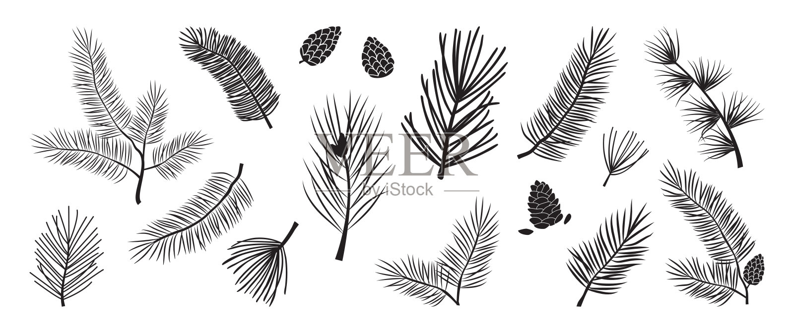 圣诞树矢枝,冷杉和松果,常青树集,节日装饰,黑色冬天的象征。性质说明插画图片素材