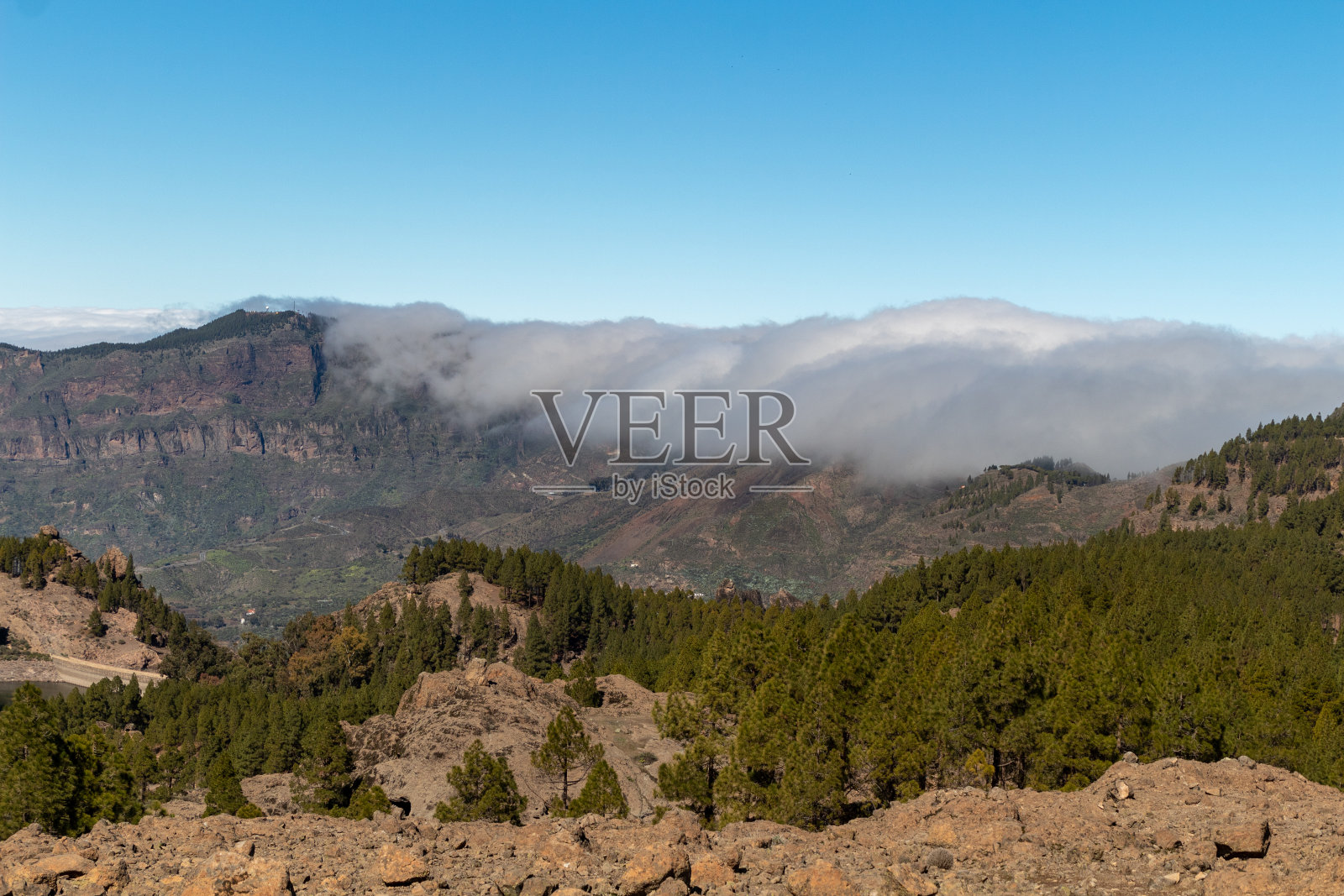 山地景观,松林和蓝天照片摄影图片