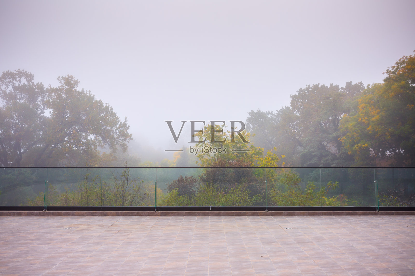 秋天的雾在古老雄伟的公园。树上五颜六色的叶子。露台边缘的玻璃板。夏季室外露台。照片摄影图片