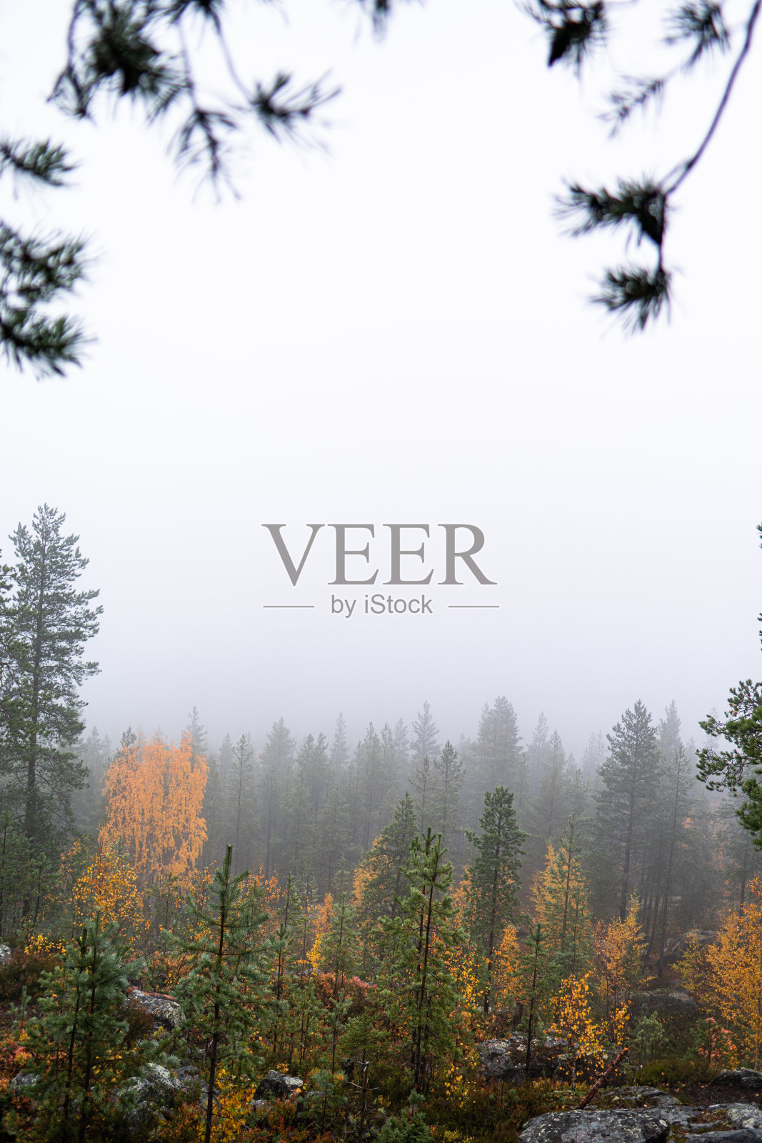 秋天照片摄影图片