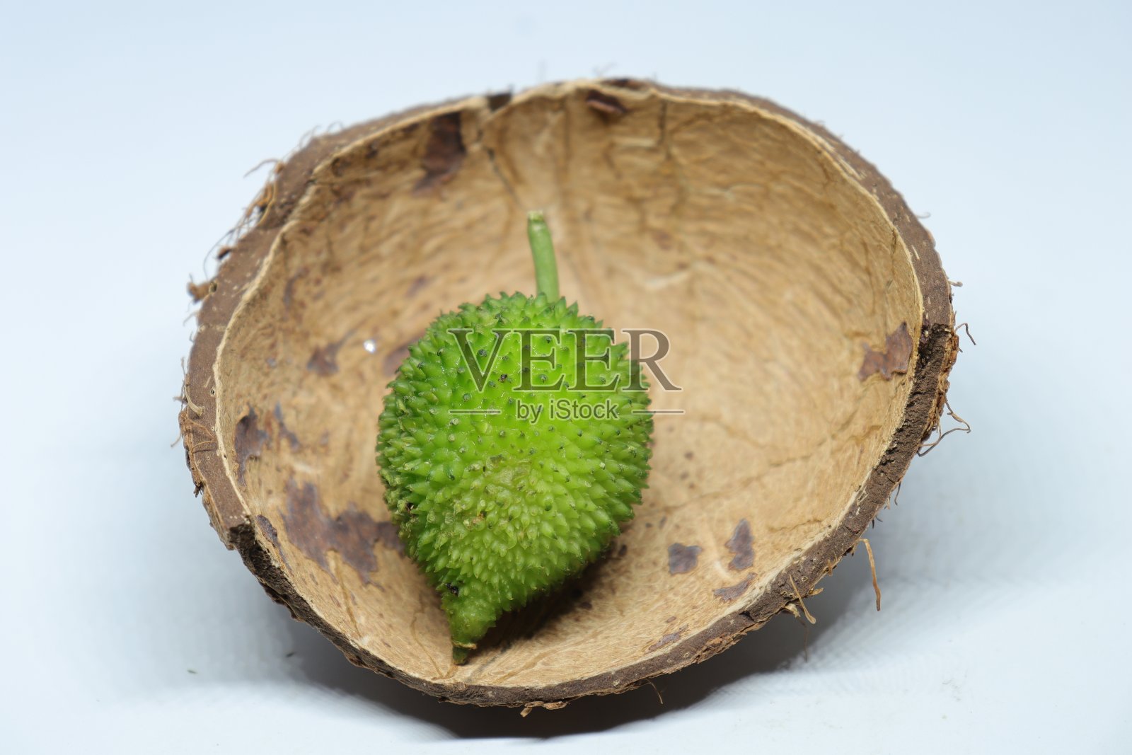 新鲜的绿色彩色的冬瓜或续断葫芦蔬菜在白色的背景照片摄影图片