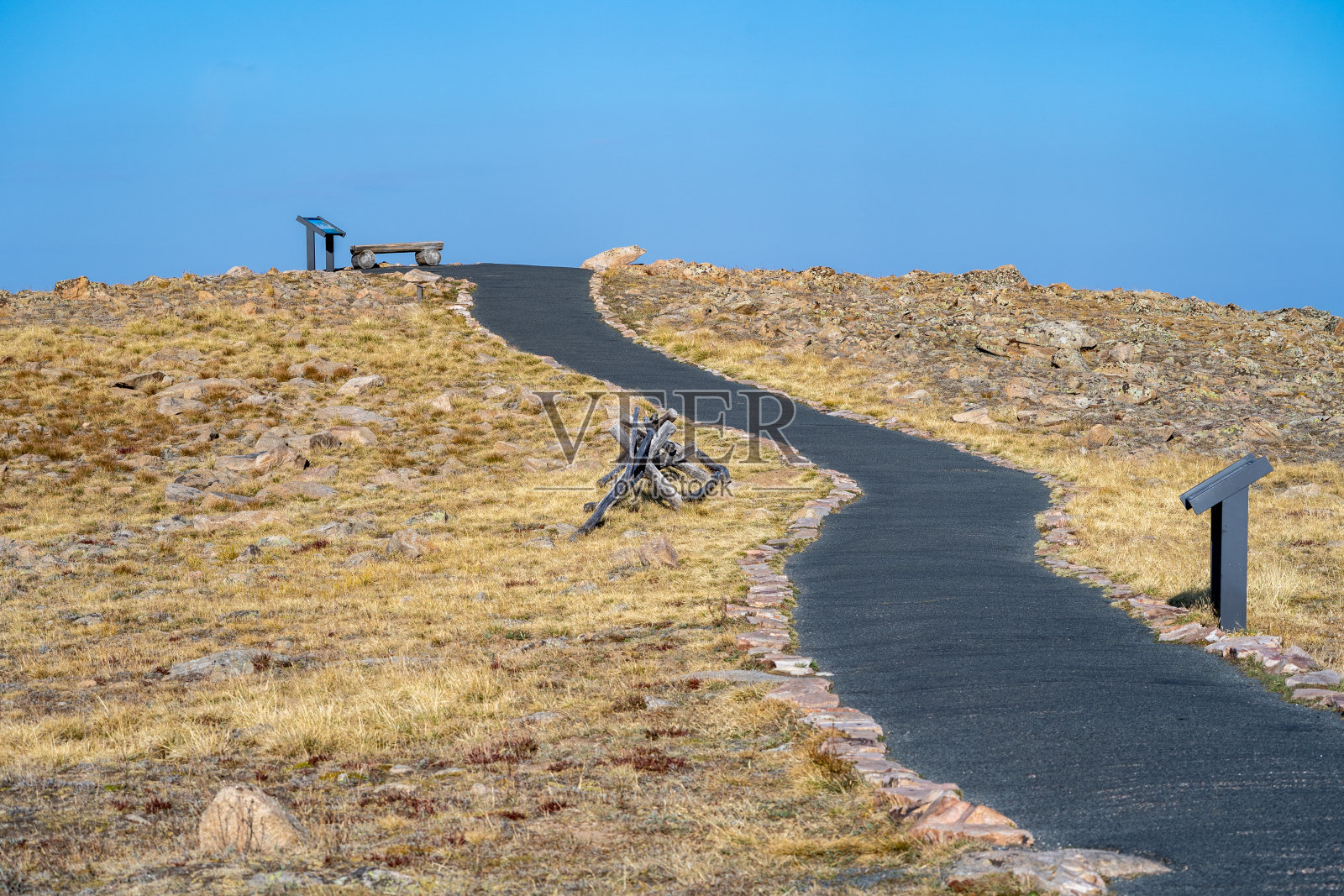 铺设的徒步小径到森林峡谷俯瞰在洛基山国家公园科罗拉多州。小路附近的苔原照片摄影图片