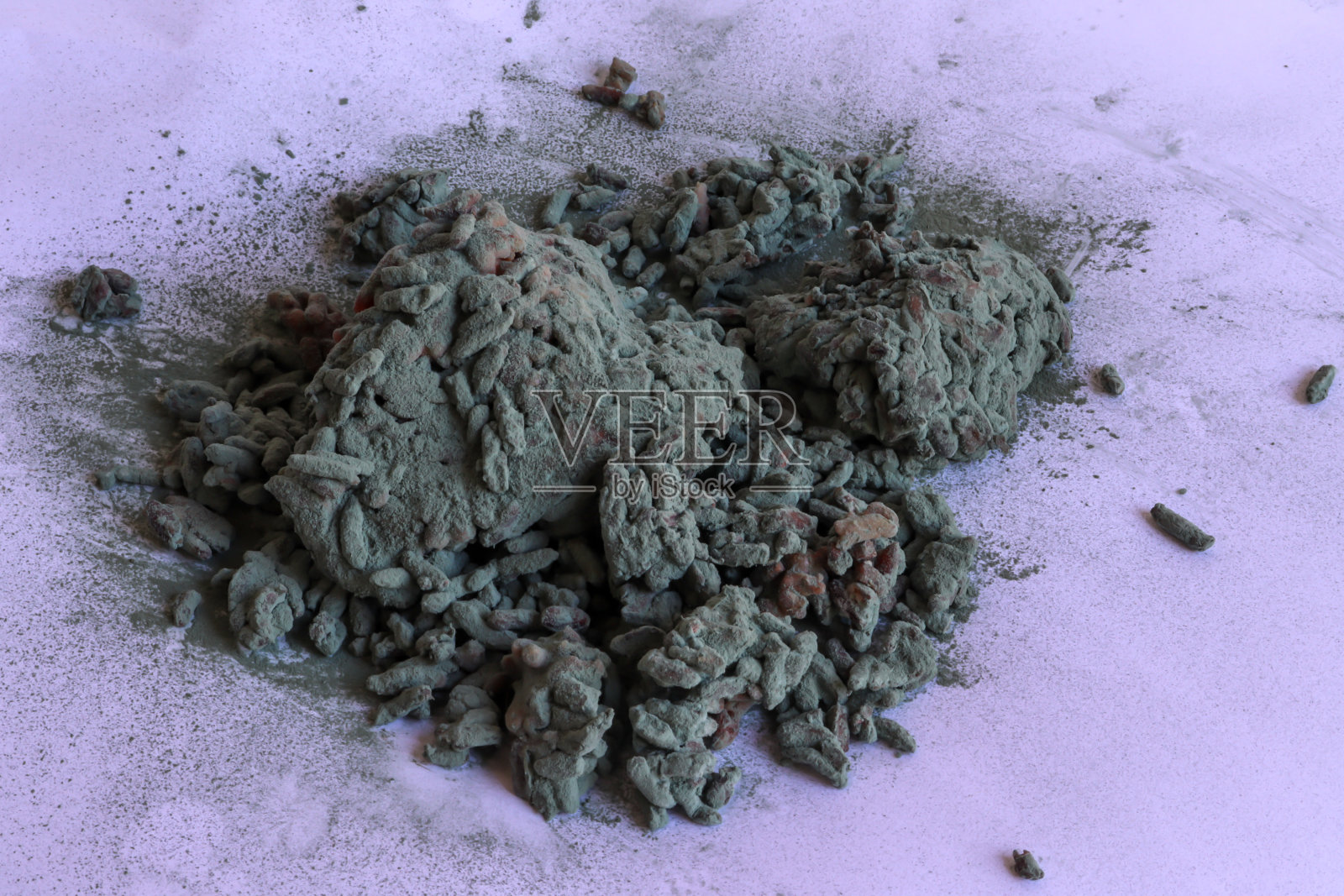 糯米菌类照片摄影图片