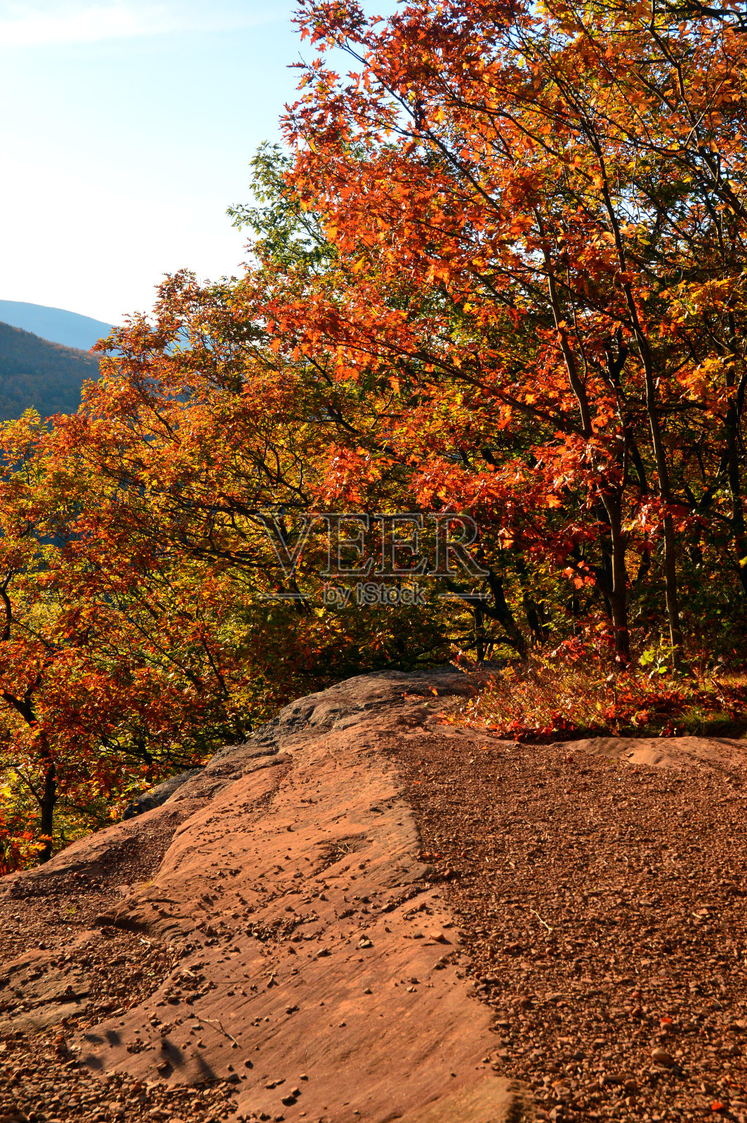 秋色在山脊上闪烁照片摄影图片