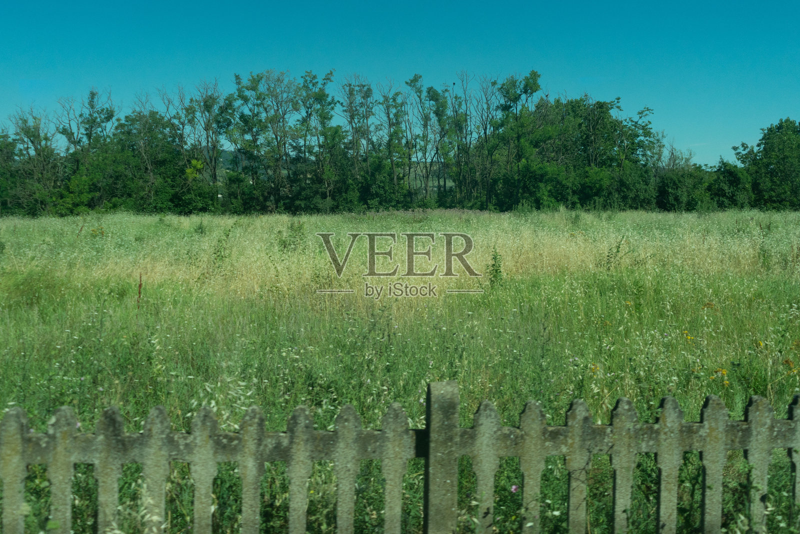 从意大利拉斯佩齐亚到卡斯尔特鲁斯的火车上,有一大片绿色的田野,背景是树木照片摄影图片