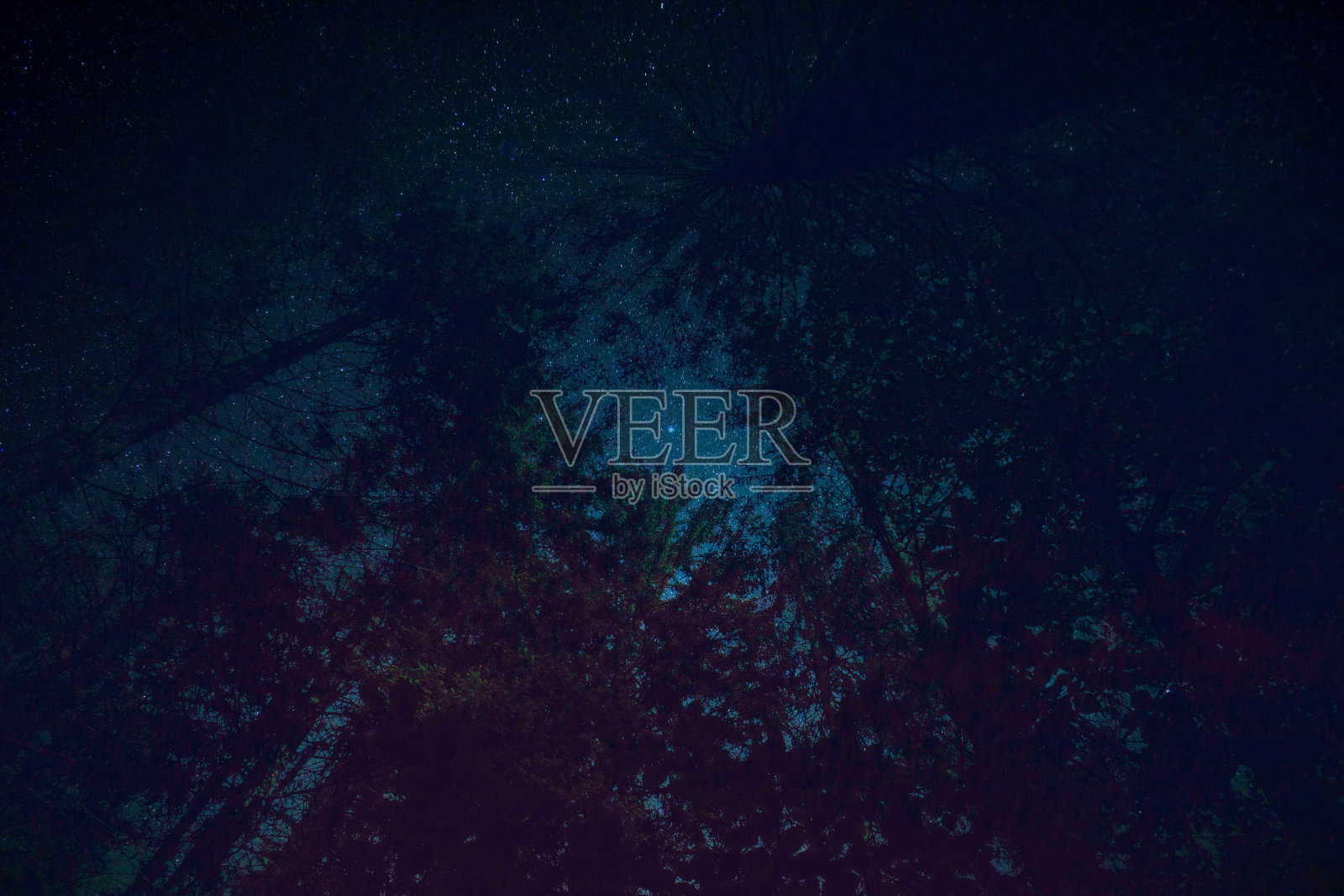 太空中的一棵树照片摄影图片