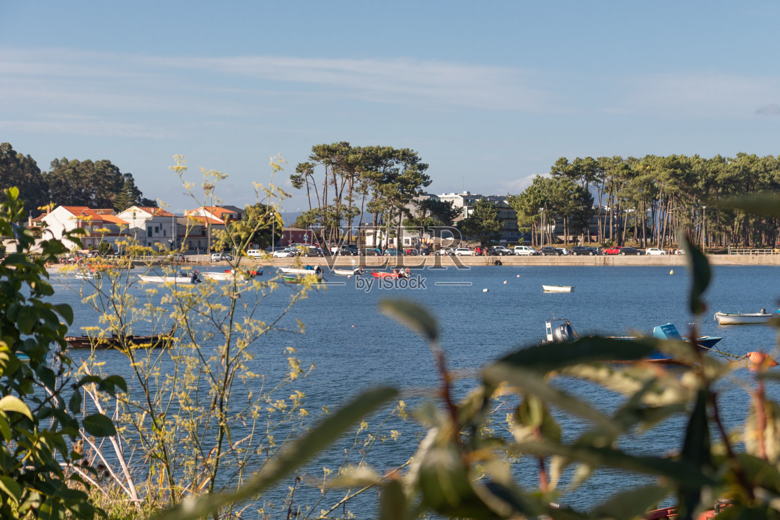 一个隐藏在树叶后面的港口照片摄影图片