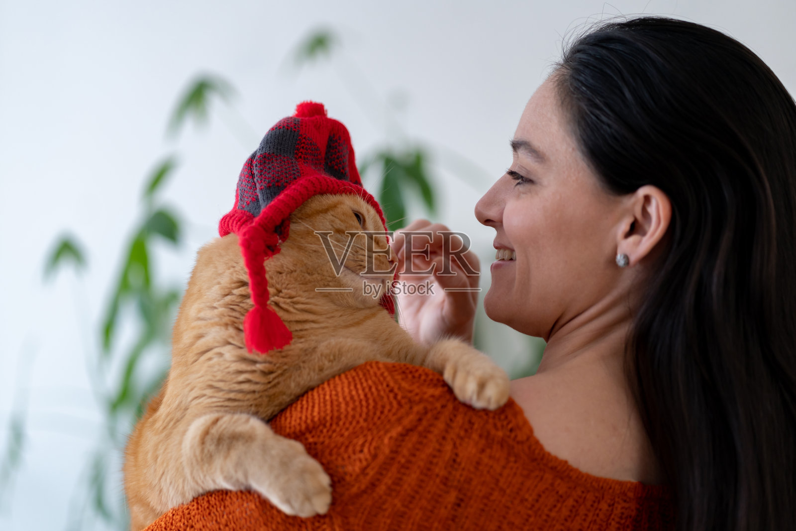 家里有猫的女人照片摄影图片