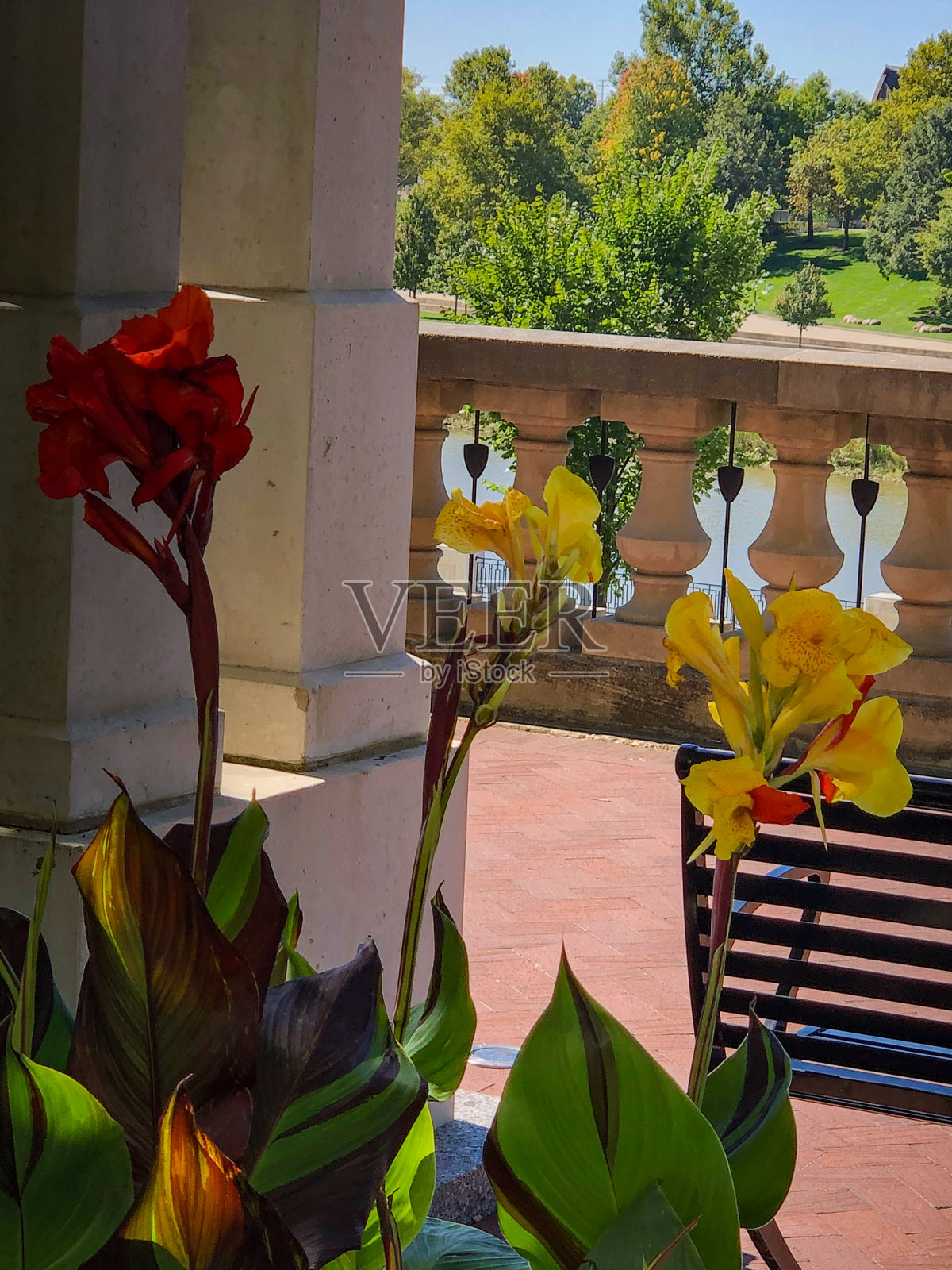 美丽的城市公园,有秋千和鲜花照片摄影图片